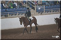 4H-States-07-0653.jpg