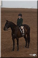 4H-States-07-0734.jpg