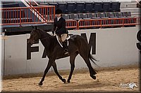 4H-States-07-0857.jpg