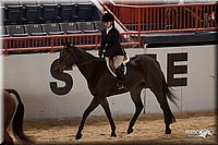 4H-States-07-0858.jpg