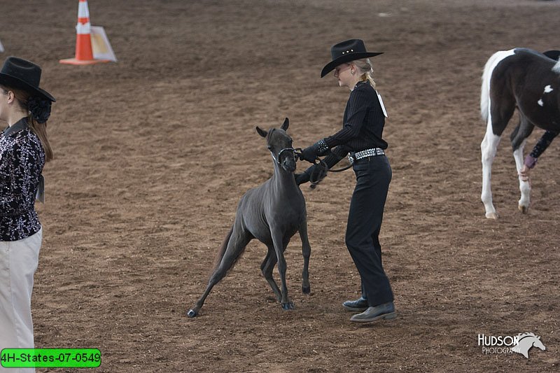 4H-States-07-0549.jpg
