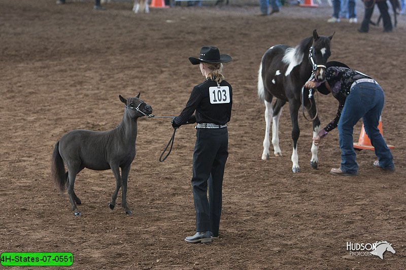 4H-States-07-0551.jpg