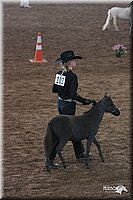 4H-States-07-0541.jpg