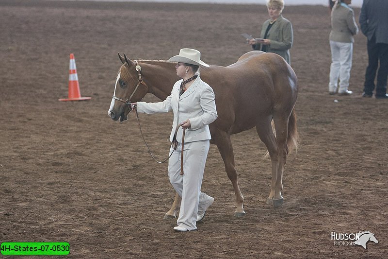4H-States-07-0530.jpg