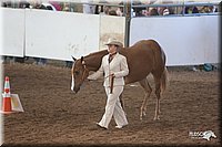 4H-States-07-0508.jpg