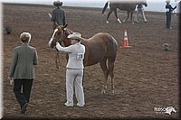 4H-States-07-0517.jpg