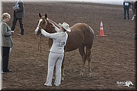 4H-States-07-0518.jpg