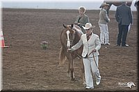 4H-States-07-0529.jpg
