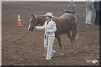 4H-States-07-0530.jpg