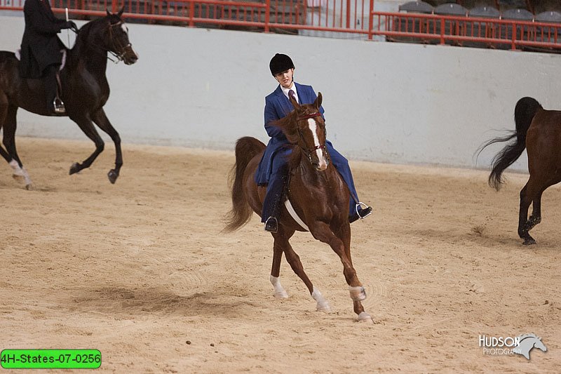 4H-States-07-0256.jpg