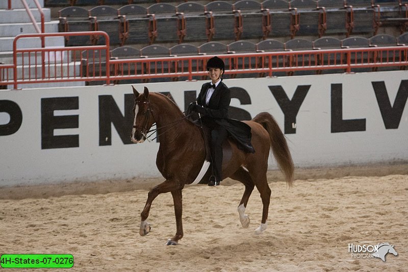 4H-States-07-0276.jpg
