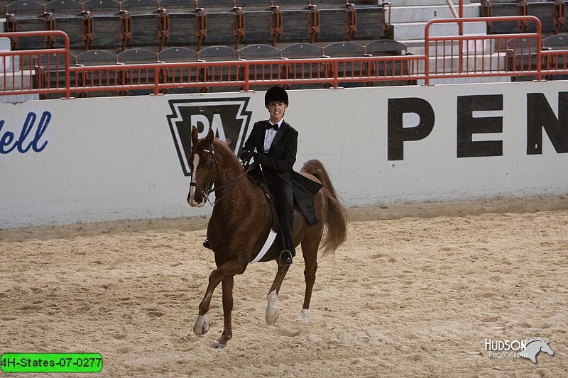 4H-States-07-0277.jpg