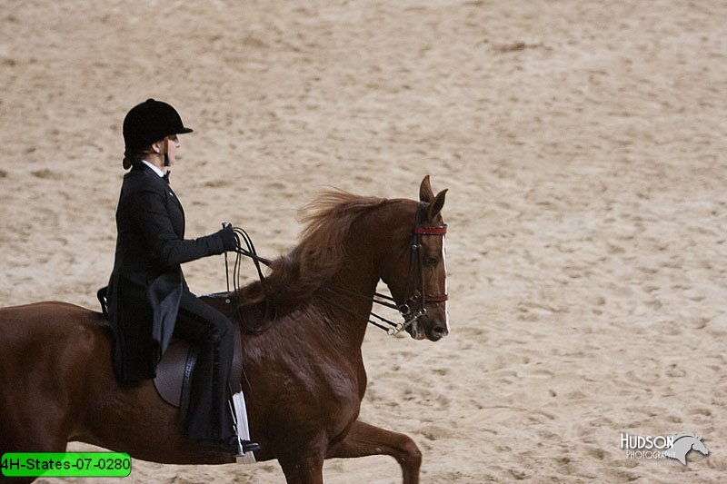4H-States-07-0280.jpg
