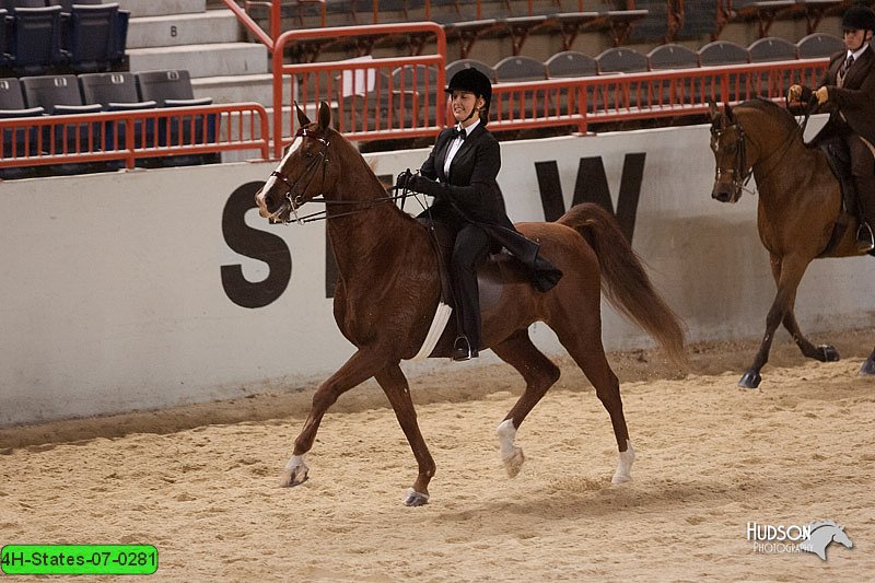 4H-States-07-0281.jpg