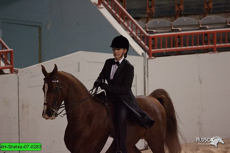 4H-States-07-0283.jpg