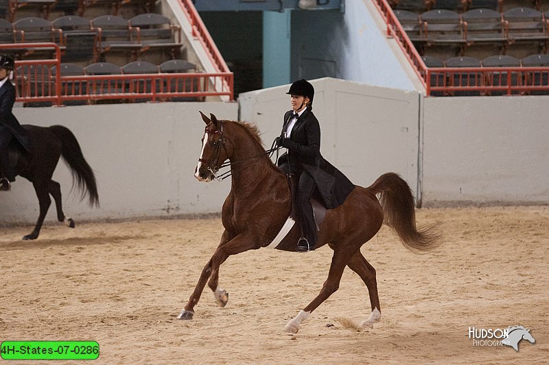 4H-States-07-0286.jpg