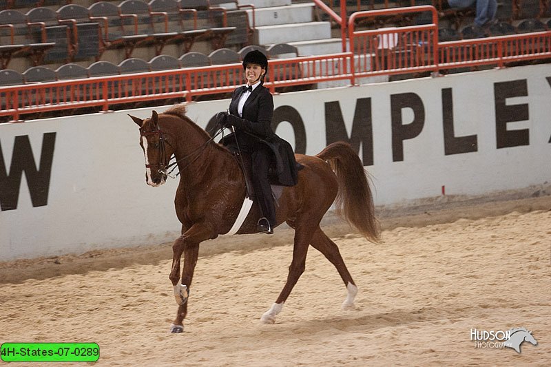 4H-States-07-0289.jpg