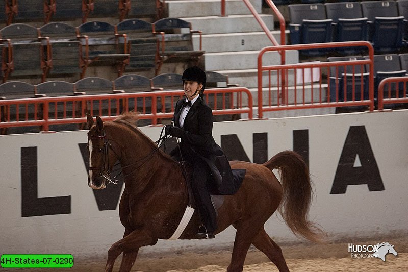 4H-States-07-0290.jpg