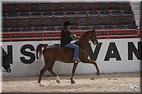 4H-States-07-0007.jpg