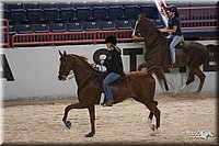4H-States-07-0021.jpg