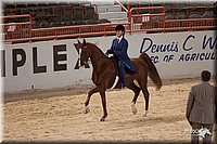4H-States-07-0242.jpg