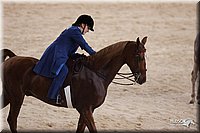 4H-States-07-0261.jpg