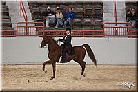 4H-States-07-0264.jpg