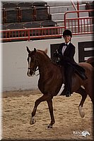 4H-States-07-0266.jpg