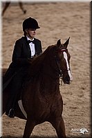 4H-States-07-0268.jpg