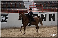 4H-States-07-0271.jpg
