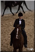 4H-States-07-0273.jpg