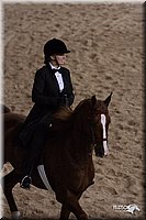 4H-States-07-0274.jpg