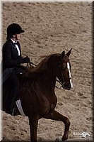 4H-States-07-0275.jpg