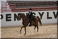 4H-States-07-0276.jpg