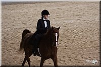 4H-States-07-0279.jpg
