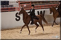 4H-States-07-0281.jpg