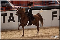 4H-States-07-0282.jpg