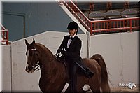 4H-States-07-0283.jpg