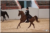 4H-States-07-0286.jpg