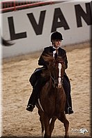 4H-States-07-0287.jpg