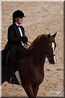 4H-States-07-0288.jpg