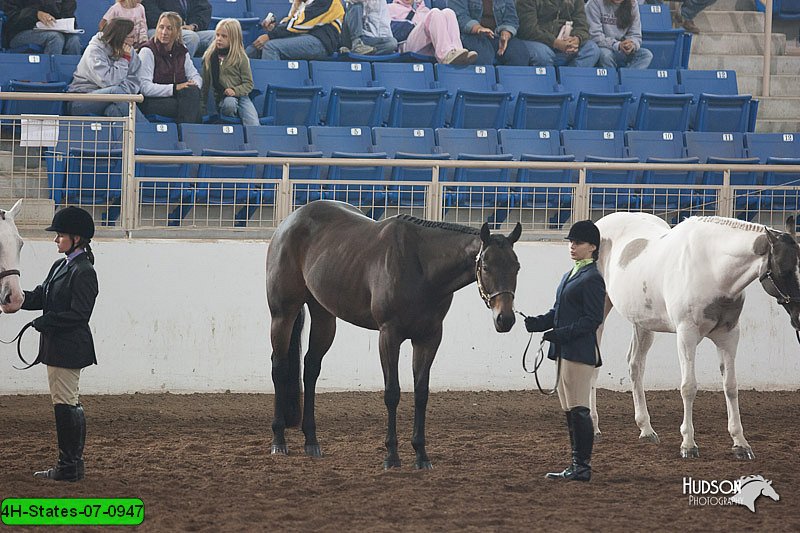 4H-States-07-0947.jpg