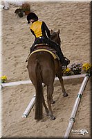 4H-States-07-0181.jpg