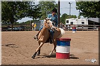 2007-Fair-Show