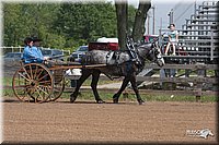 4H-1stSh-08_0245.jpg