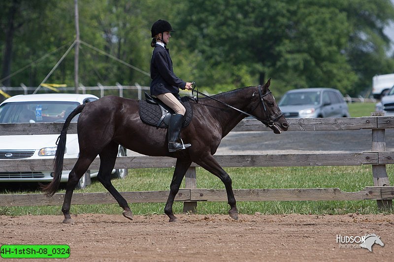 4H-1stSh-08_0324.jpg
