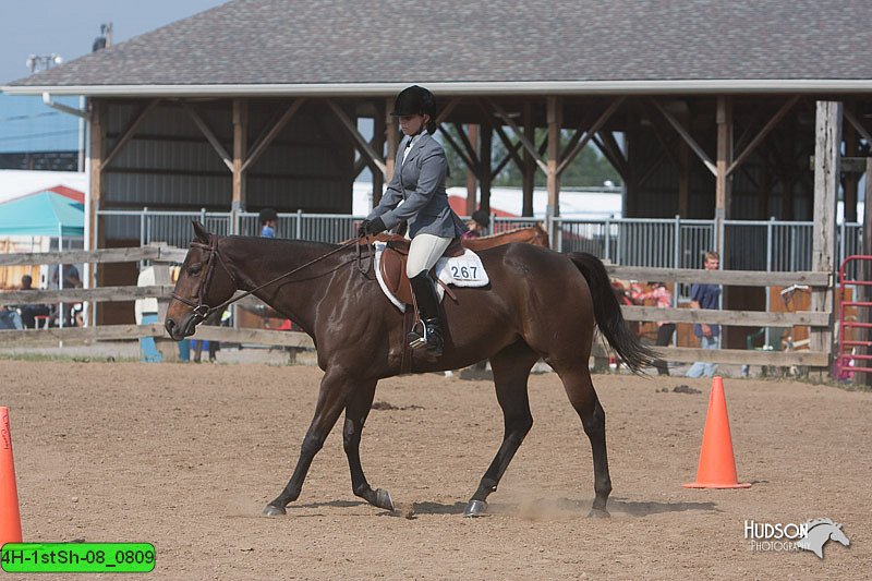 4H-1stSh-08_0809.jpg