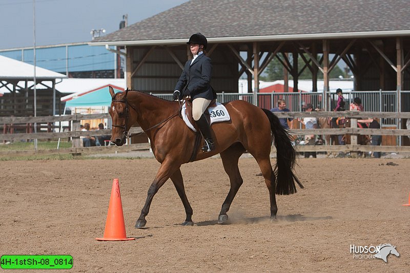 4H-1stSh-08_0814.jpg