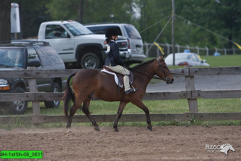 4H-1stSh-08_0831.jpg