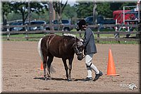 4H-1stSh-08_0163.jpg
